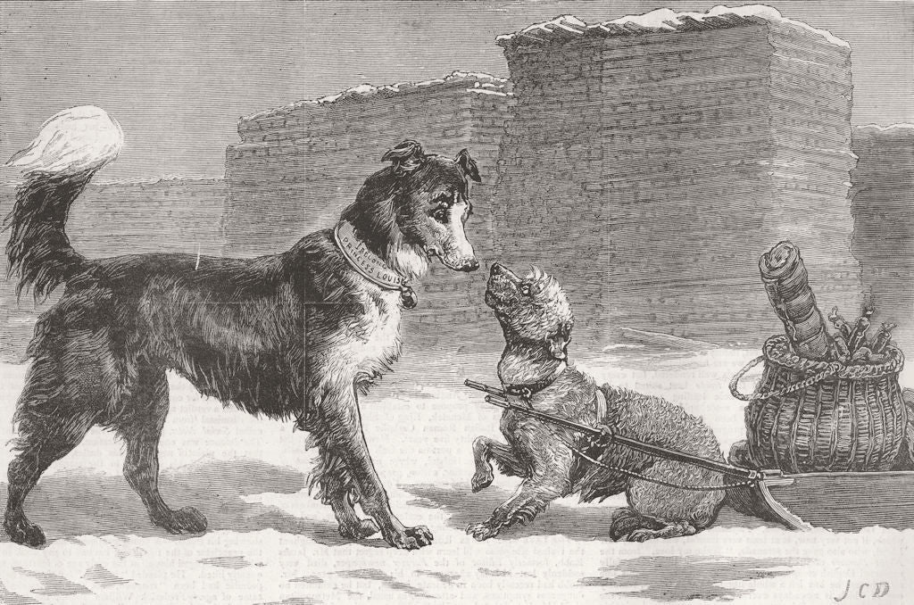 DOGS. Colonial-Britons never will be slaves 1879 old antique print picture